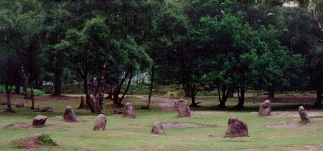 nine maidens