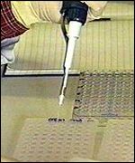 Genetic tests BBC