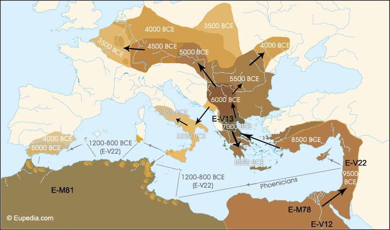 Expansion of haplogroup E1b1b from Africa to Europe until 800 BCE