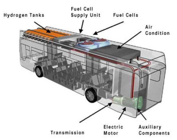Citaro_x_ray